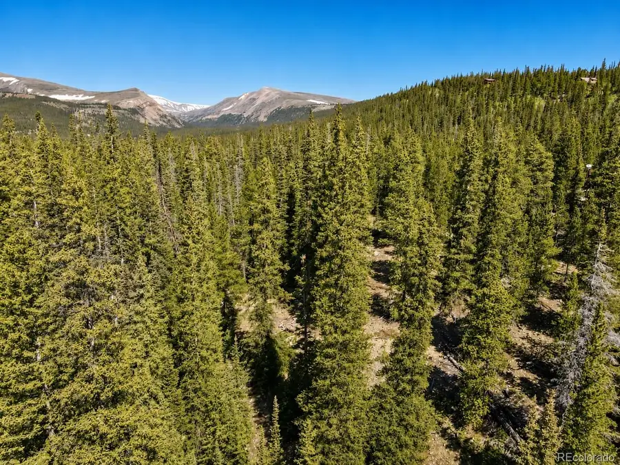 000 Guymard Road, Fairplay, CO 80440 - #2
