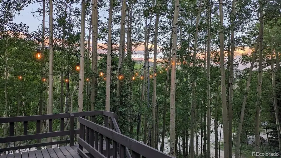 288 Roberts Road, Alma, CO 80420 - #2