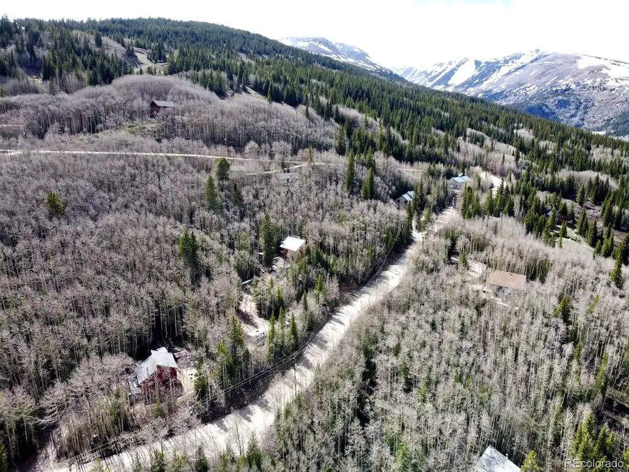 288 Roberts Road, Alma, CO 80420 - #3