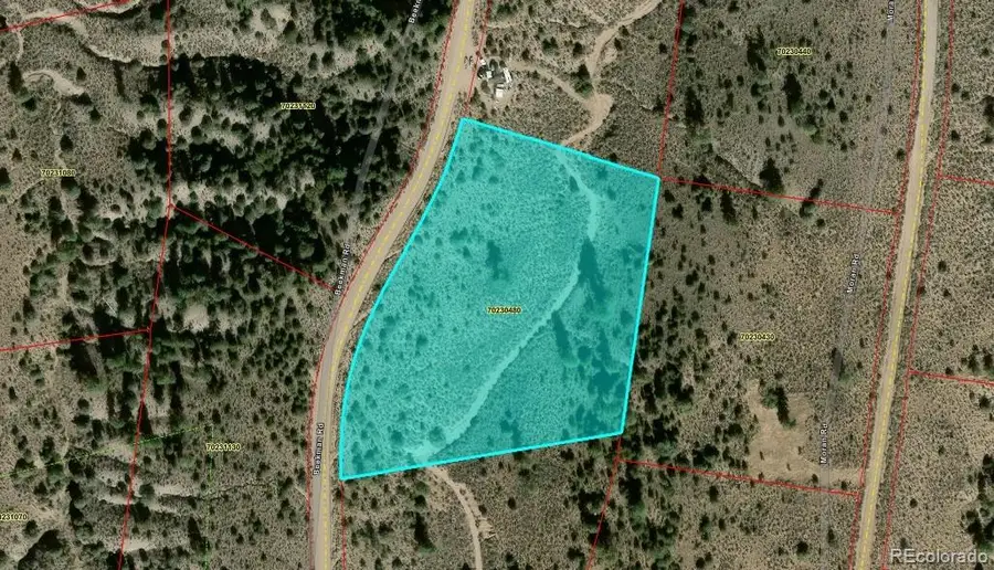 LOT 4546 Beekman Road, Fort Garland, CO 81133 - #2