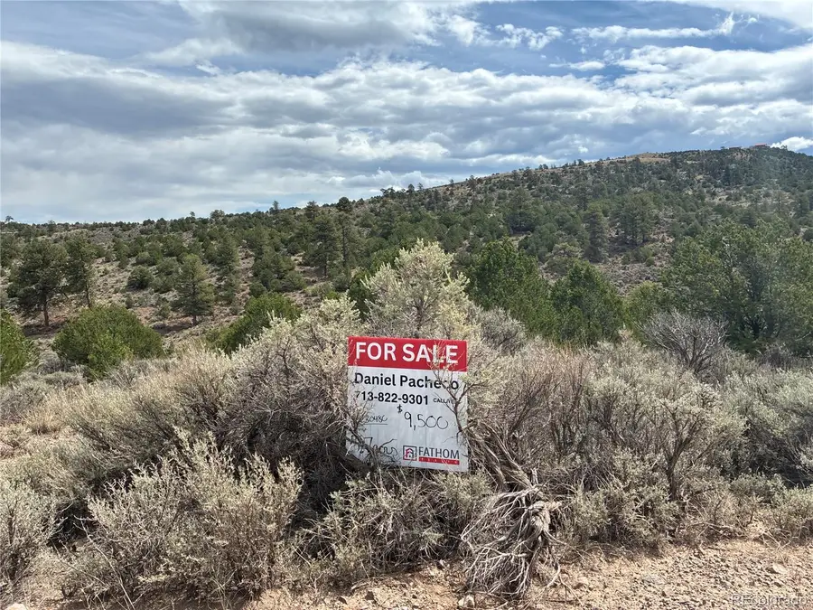 LOT 4546 Beekman Road, Fort Garland, CO 81133 - #3