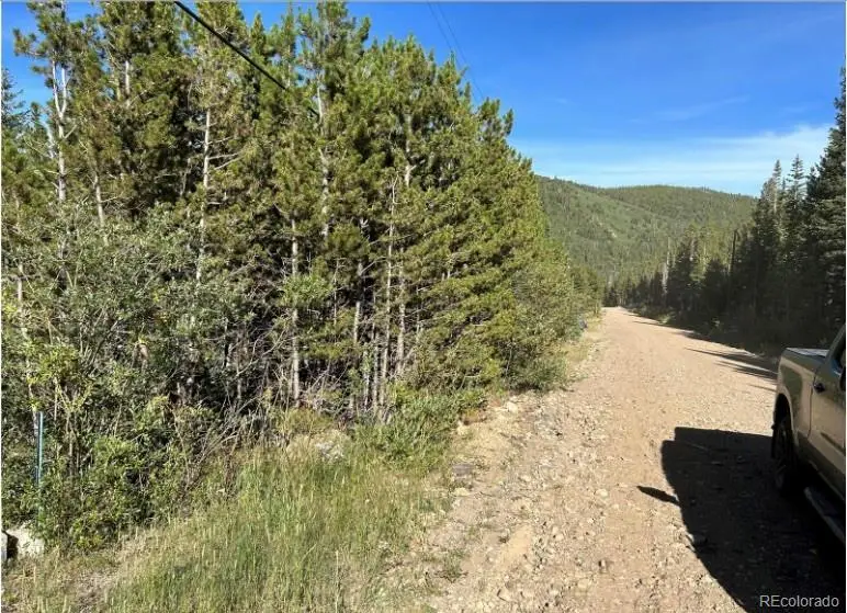 343 Aspen Road, Idaho Springs, CO 80452 - #1