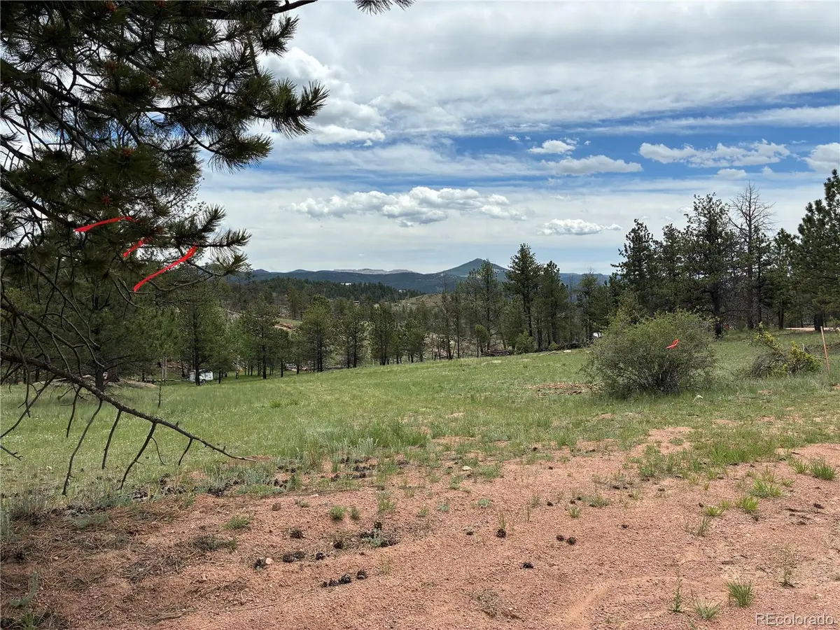 266 Chapparal Trail, Florissant, CO 80816 - #1