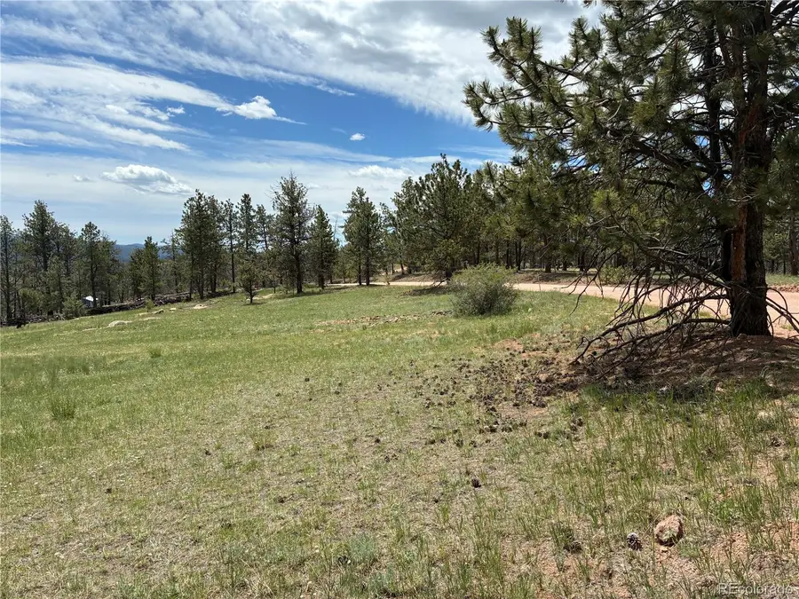 266 Chapparal Trail, Florissant, CO 80816 - #3