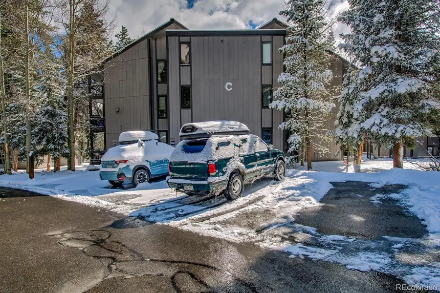 1105 Ski Hill Road #69, Breckenridge, CO 80424 - #3