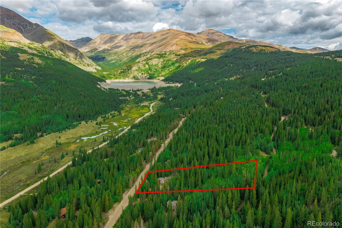 420 Nuthatch Drive, Alma, CO 80420 - #1