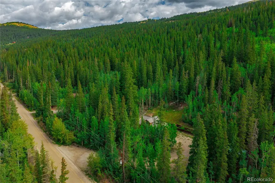 420 Nuthatch Drive, Alma, CO 80420 - #2