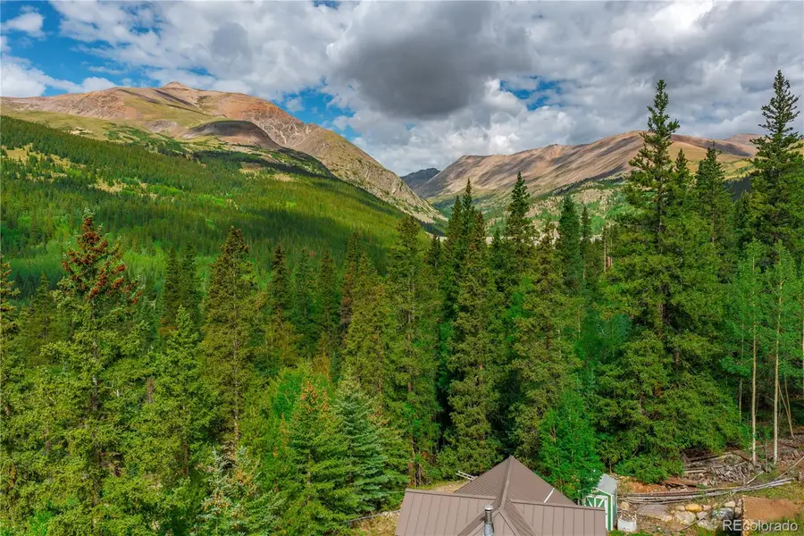 420 Nuthatch Drive, Alma, CO 80420 - #3