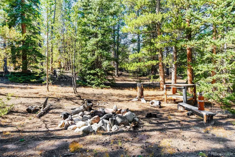 30 Serenity Court, Fairplay, CO 80440 - #3