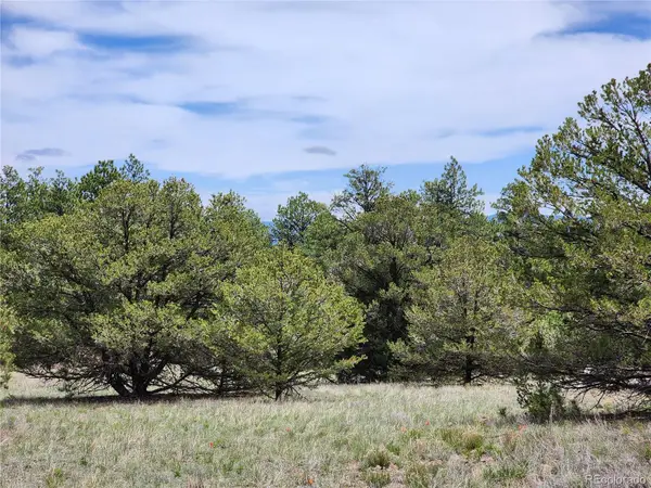 000 7th Trail, Cotopaxi, CO 81223
