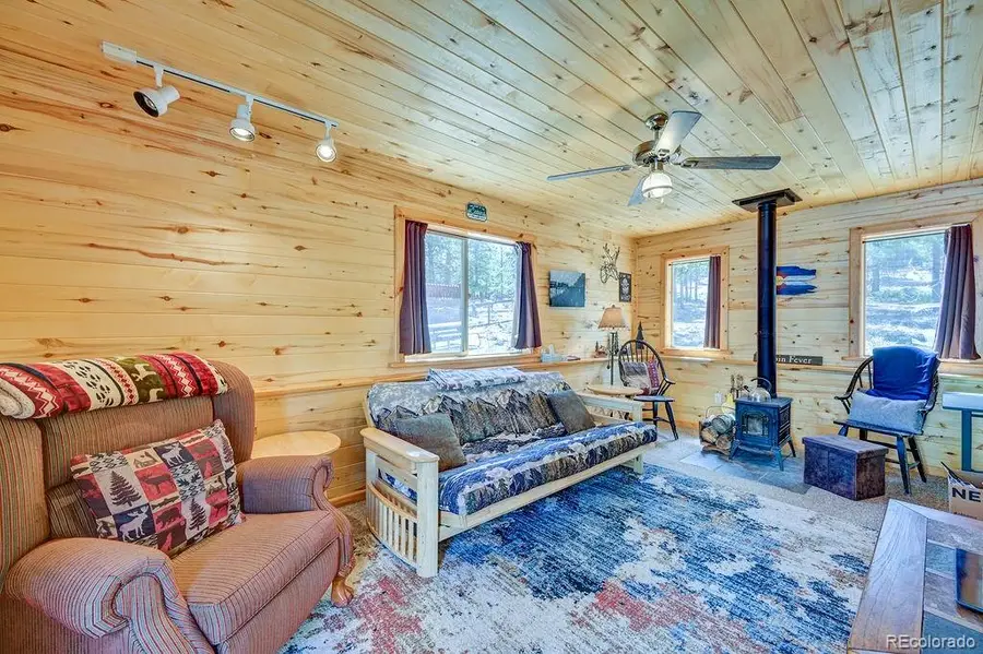 30433 National Forest Drive, Buena Vista, CO 81211 - #3