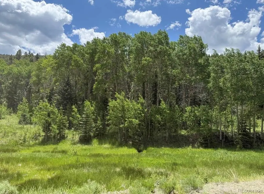 Lot 1 Co Rd 358, Westcliffe, CO 81252 - Image #2