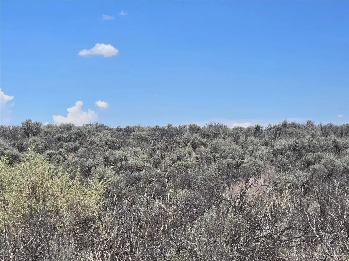 Lot 19 Antonito Trail, Mesita, CO 81152 - #1