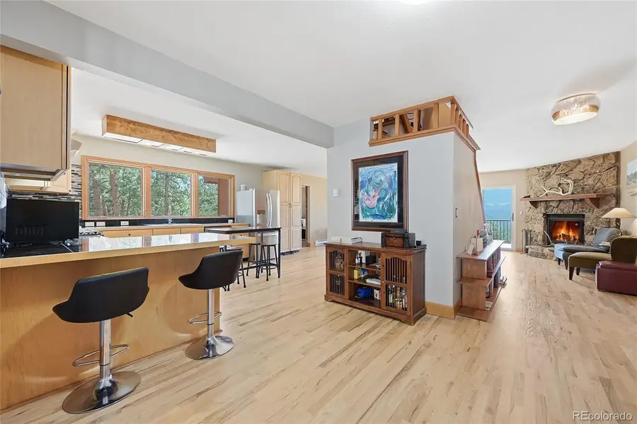 16 Auk Lane, Bailey, CO 80421 - #3