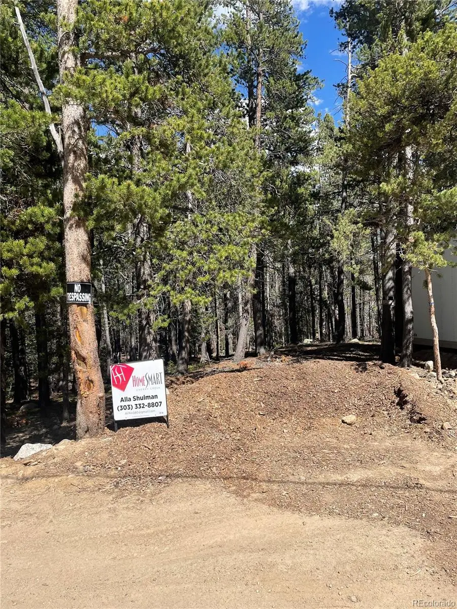 000 Silver Creek Road, Idaho Springs, CO 80452 - #2