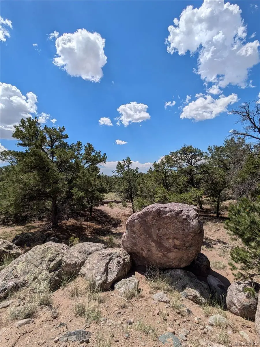 1240 Brookview Way, Crestone, CO 81131 - #1