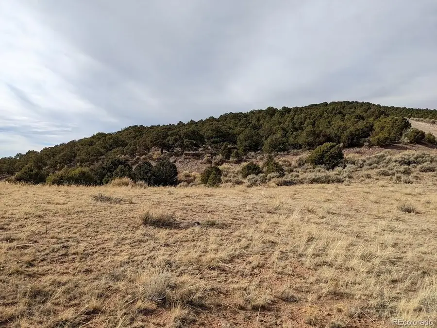 4389 Beekman Road, Fort Garland, CO 81133 - Image #3