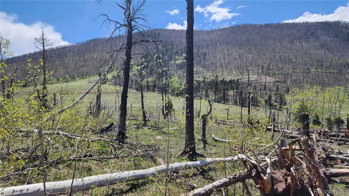 2334 Wohlstetter Loop, Fort Garland, CO 81133 - Image #1