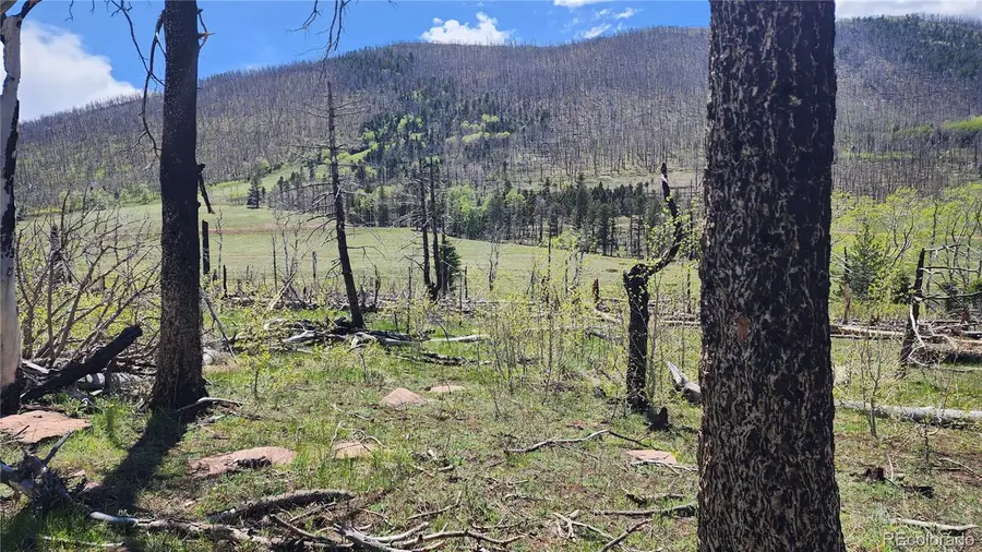 2334 Wohlstetter Loop, Fort Garland, CO 81133 - Image #2