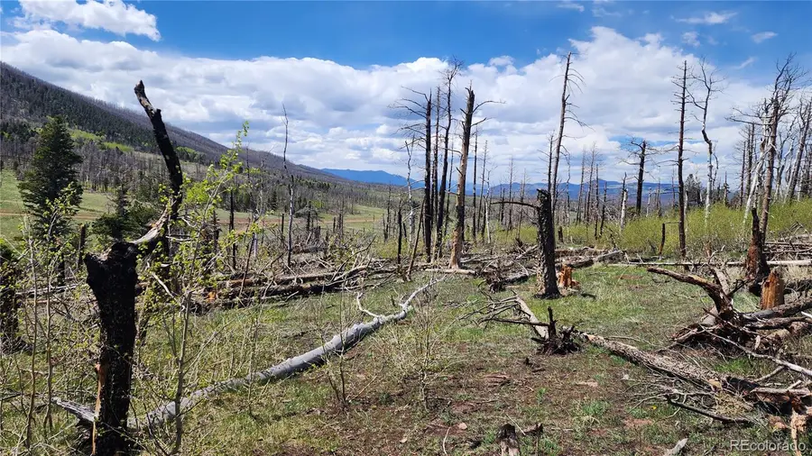 2334 Wohlstetter Loop, Fort Garland, CO 81133 - Image #3