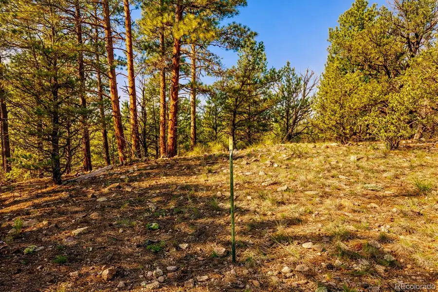 TBD L 10th Trail, Cotopaxi, CO 81223 - #2