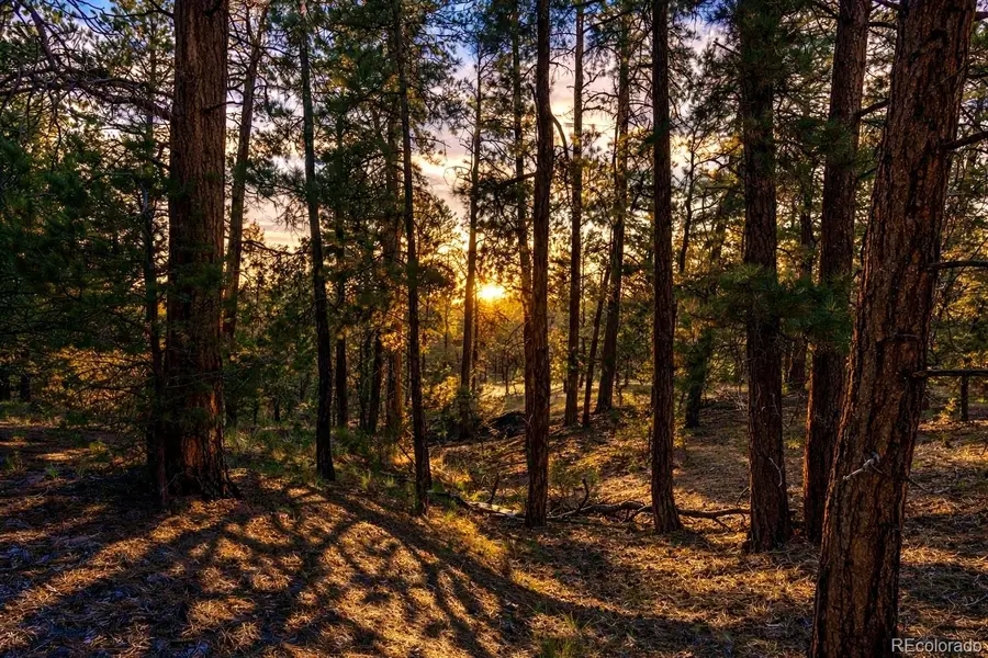 TBD L 10th Trail, Cotopaxi, CO 81223 - #3