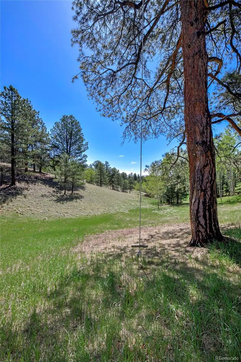63 Star View Trail, Divide, CO 80814 - #3