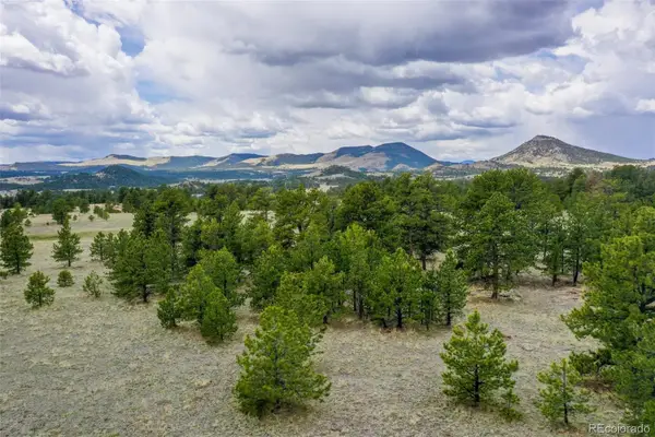 000 Doe Valley Road, Guffey, CO 80820