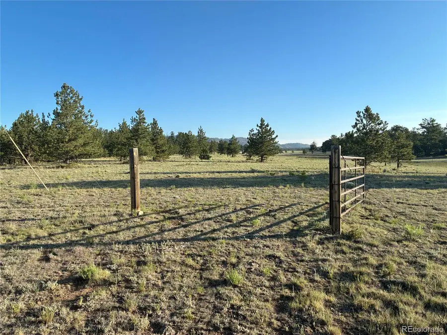 000 Doe Valley Road, Guffey, CO 80820 - #3