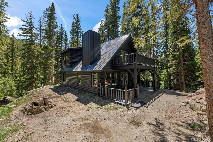 46 Silver Creek Road, Idaho Springs, CO 80452 - #2