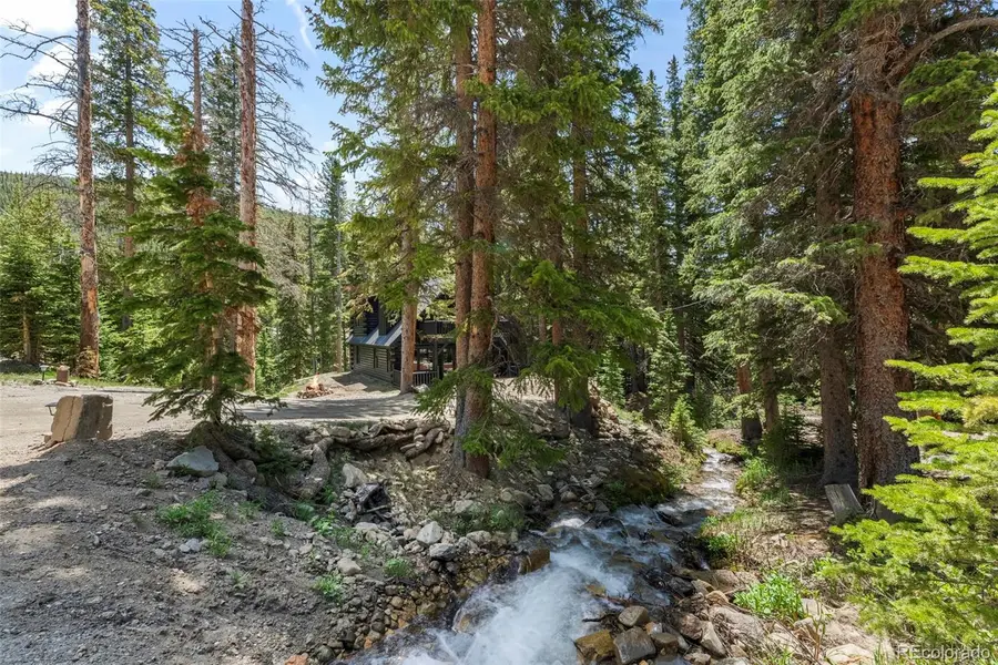 46 Silver Creek Road, Idaho Springs, CO 80452 - #3