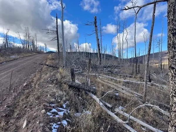 Lot 2397 Petito Drive, Fort Garland, CO 81133