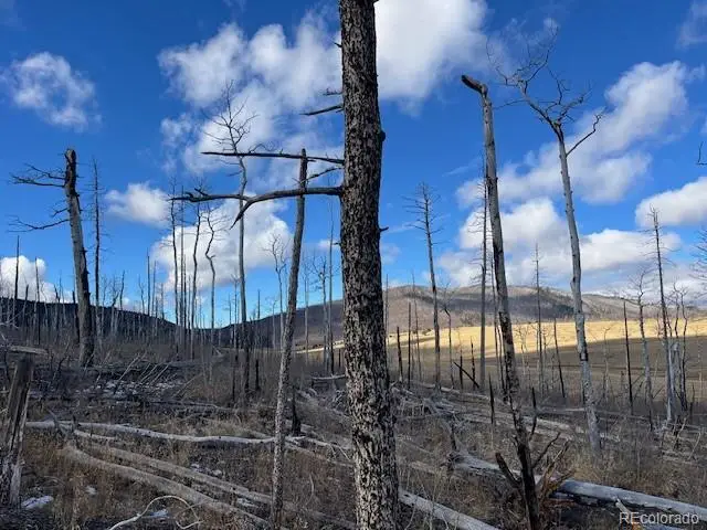 Lot 2397 Petito Drive, Fort Garland, CO 81133 - Image #2