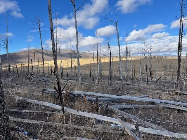 Lot 2397 Petito Drive, Fort Garland, CO 81133 - Image #3