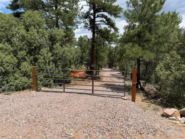 165 Mosswood Drive, Cotopaxi, CO 81223
