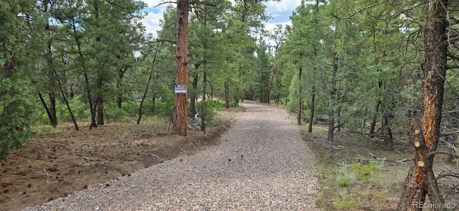165 Mosswood Drive, Cotopaxi, CO 81223 - #2