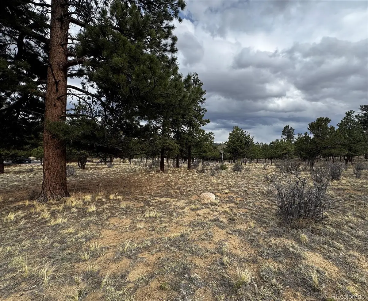 30583 Timberline Drive, Buena Vista, CO 81211 - #1