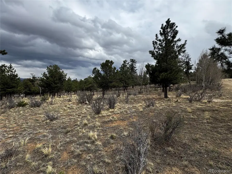 30583 Timberline Drive, Buena Vista, CO 81211 - #2