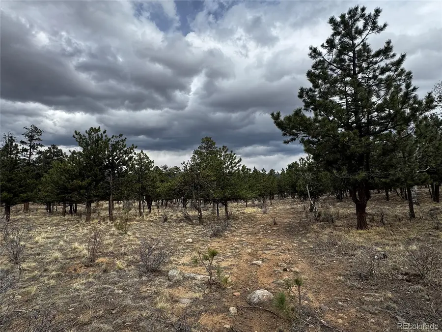 30583 Timberline Drive, Buena Vista, CO 81211 - #3