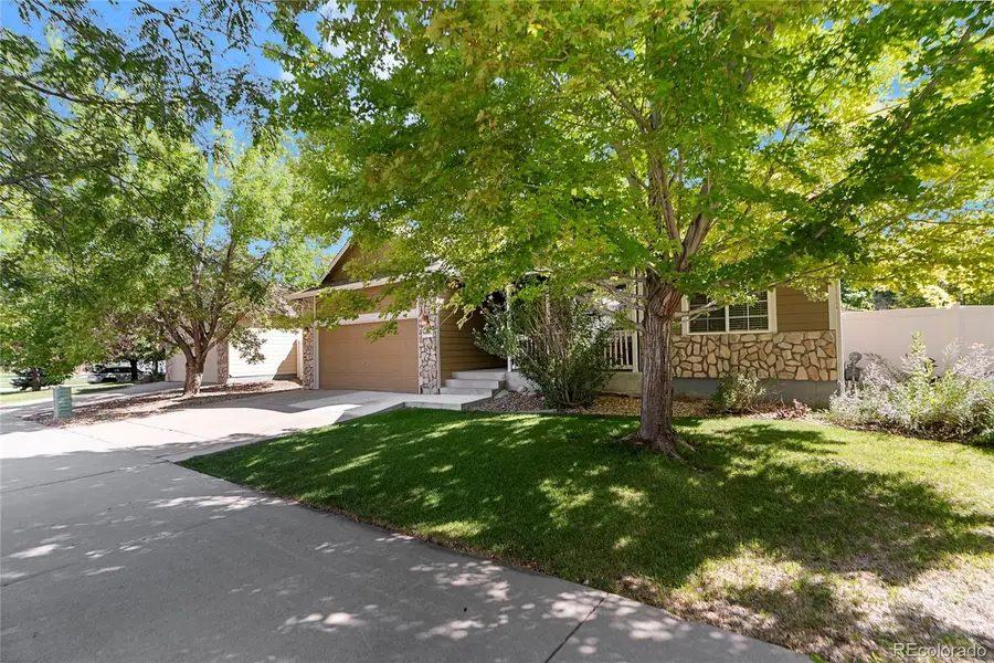16366 9th Street, Mead, CO 80542 - #3