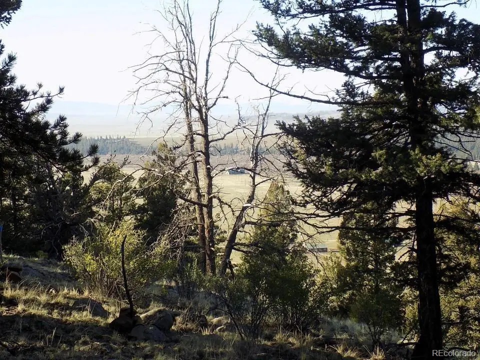 2381 Redhill Road, Fairplay, CO 80440 - #1