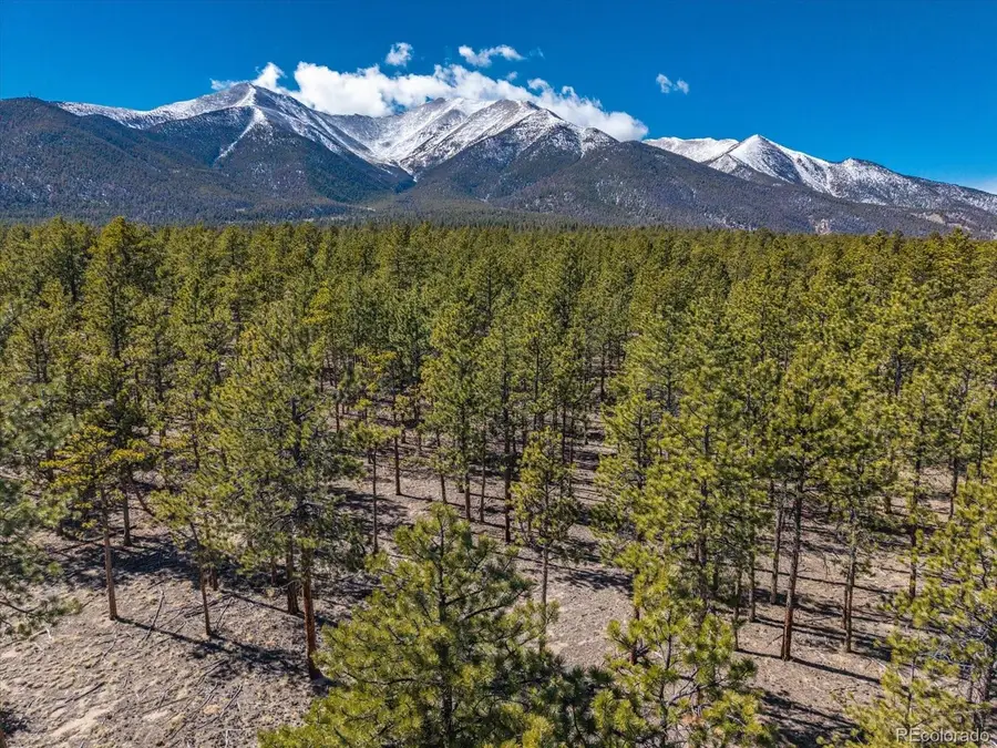 16530 County Road 327, Buena Vista, CO 81211 - #2