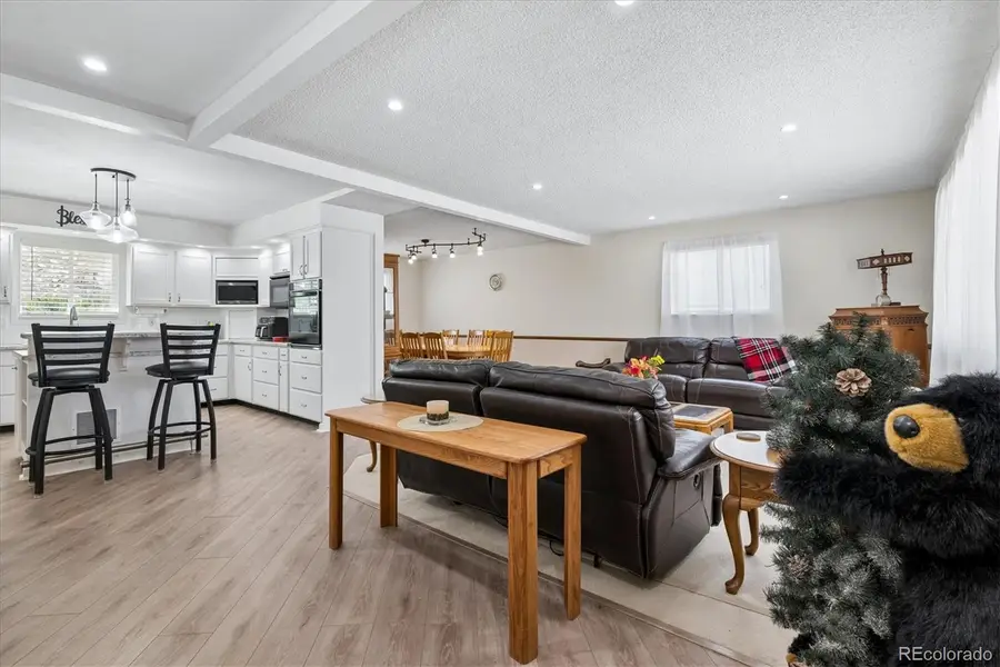 642 Scorpio Drive, Lone Tree, CO 80124 - #3