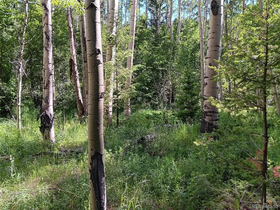 Lot 5244 Crossman Road, Fort Garland, CO 81133 - #2