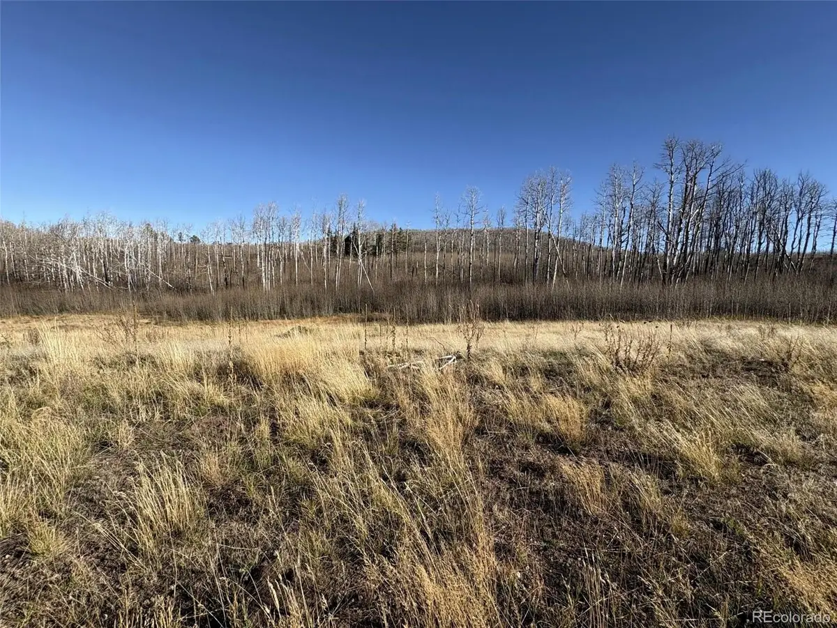 1654 Cary Lane, Fort Garland, CO 81133 - #1