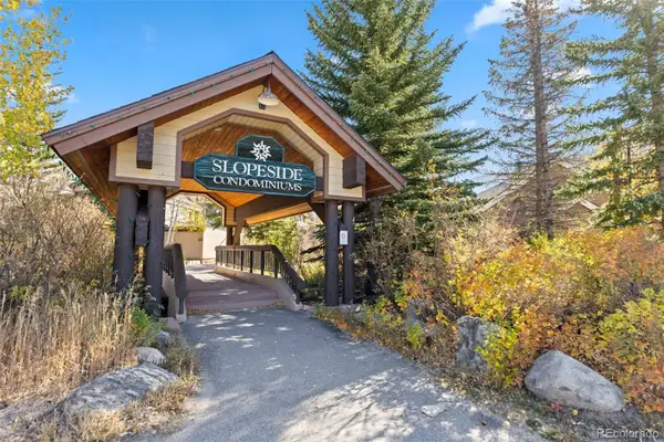 1211 W Keystone Road #2736, Dillon, CO 80435