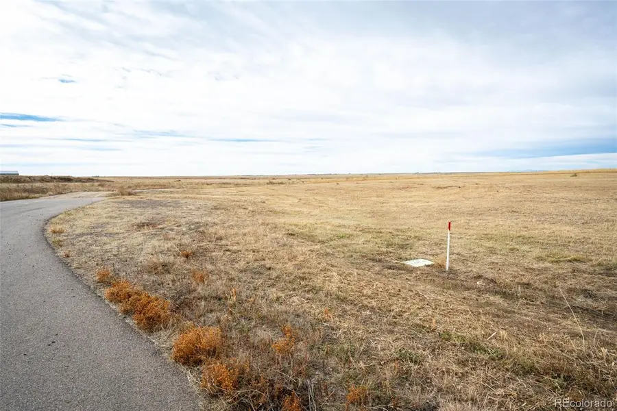 7341 Woodchest Street, Strasburg, CO 80136 - Image #3