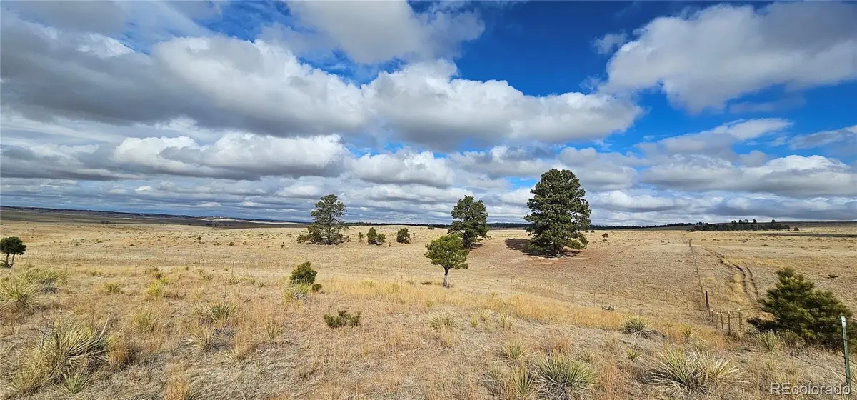 23895 County Road 144, Agate, CO 80101 - #1