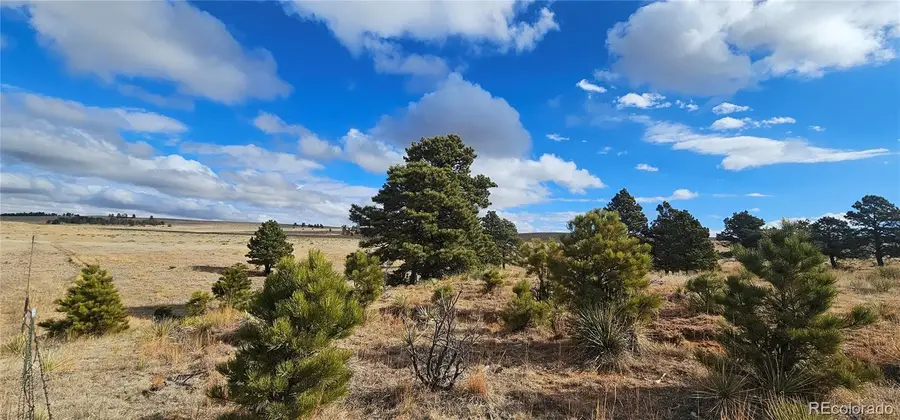 23895 County Road 144, Agate, CO 80101 - #2