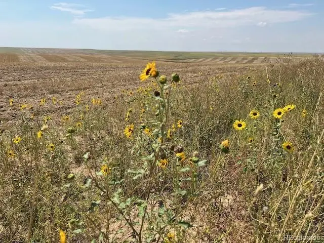Tbd County Road 2, Atwood, CO 80722 - #2